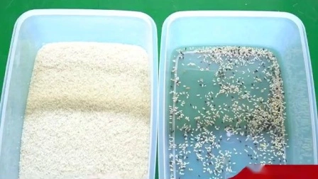 CCD Mini Rice Color Selezionatrice Macchina per la lavorazione del riso Selettore di riso