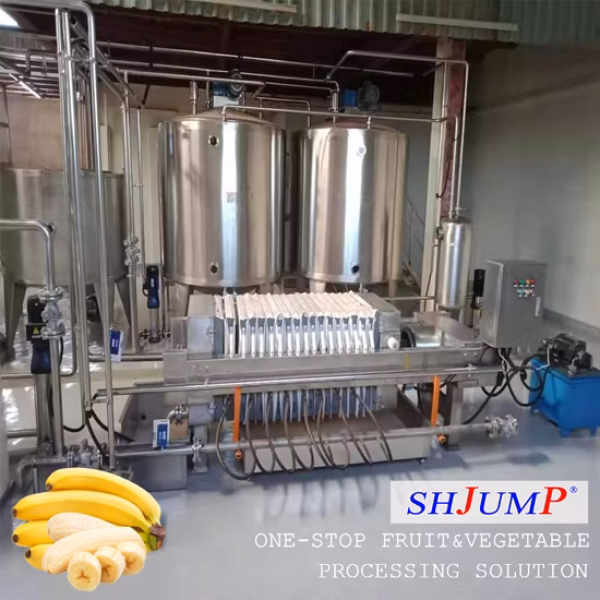 Produzione di banane da bere, lavorazione del vino, produzione di impianti di produzione di macchine